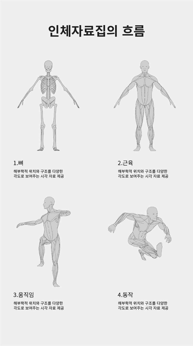 글로벌 접근성