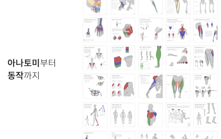 해부학 교육의 미래