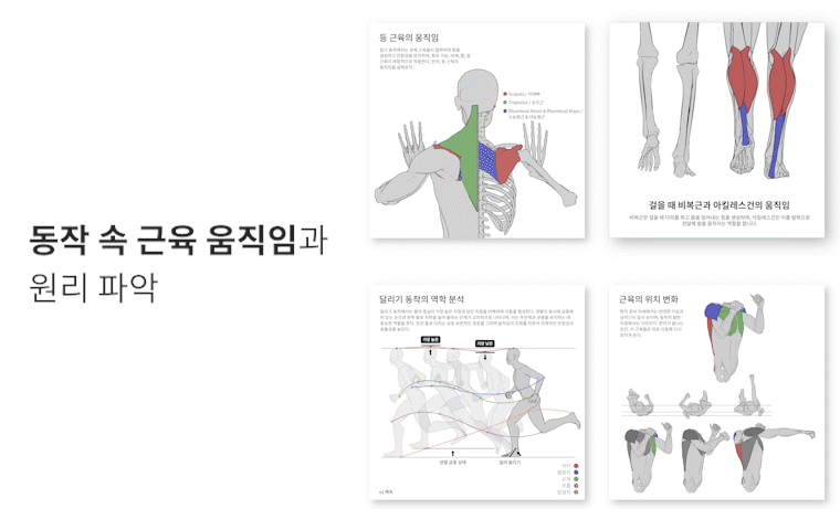 뼈 레이어